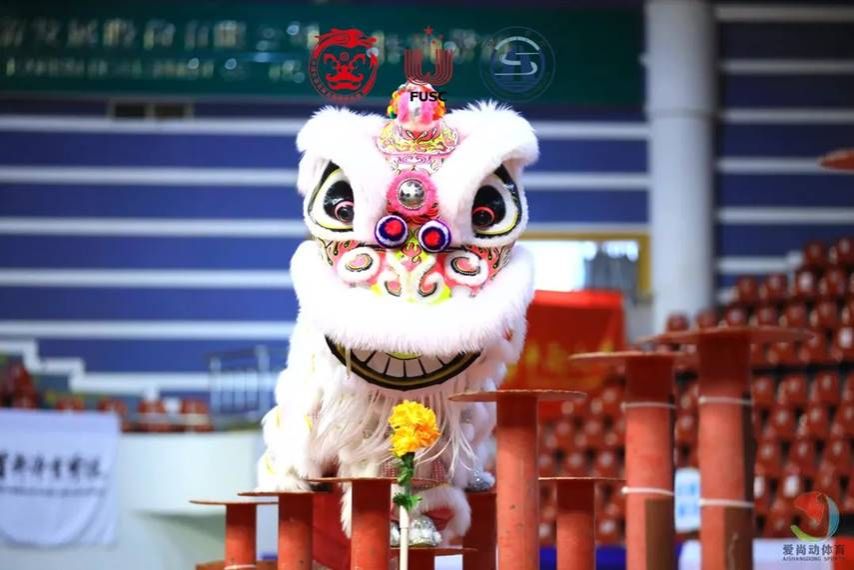 说明: IMG_256
